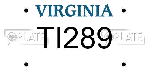 TI289 Virginia License Plate
