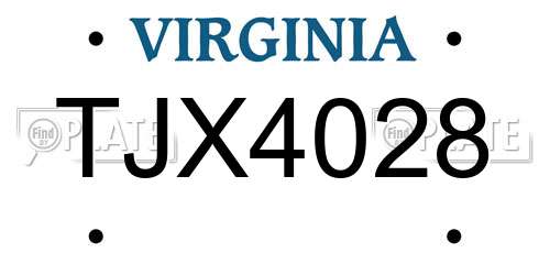 TJX4028 Virginia License Plate