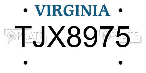 TJX8975 Virginia License Plate