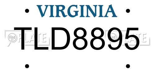 TLD8895 Virginia License Plate