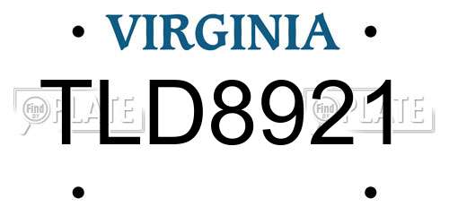 TLD8921 Virginia License Plate