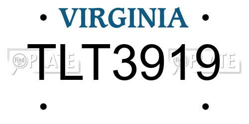 TLT3919 Virginia License Plate