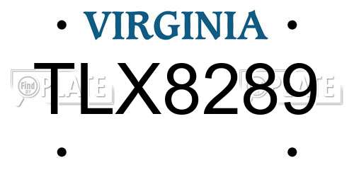 TLX8289 Virginia License Plate