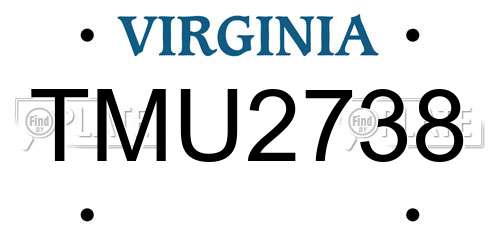 TMU2738 Virginia License Plate