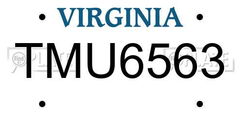 TMU6563 Virginia License Plate