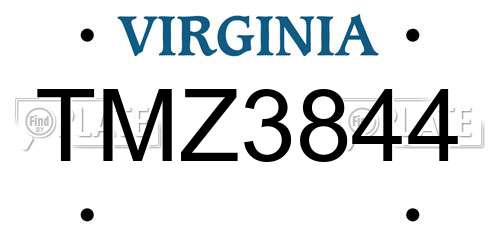TMZ3844 Virginia License Plate