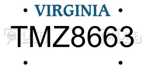 TMZ8663 Virginia License Plate