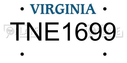 TNE1699 Virginia License Plate