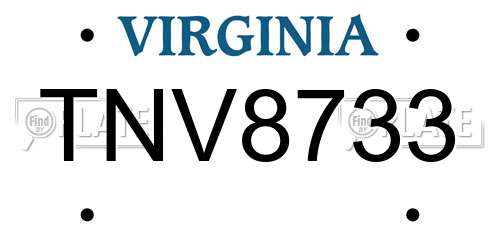 TNV8733 Virginia License Plate