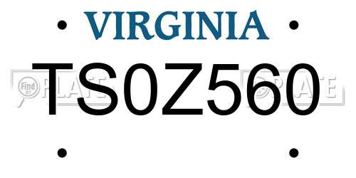 TS0Z560 Virginia License Plate