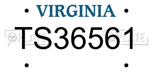TS36561 Virginia License Plate