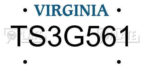 TS3G561 Virginia License Plate