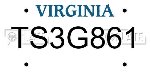 TS3G861 Virginia License Plate