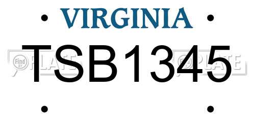 TSB1345 Virginia License Plate