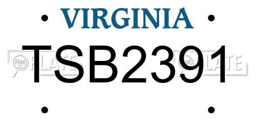 TSB2391 Virginia License Plate