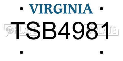 TSB4981 Virginia License Plate
