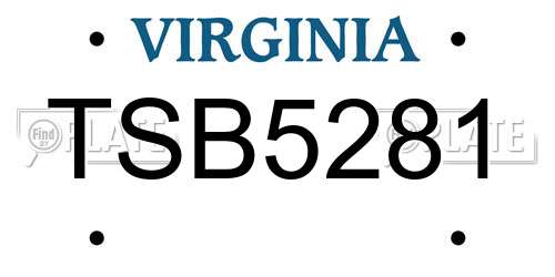 TSB5281 Virginia License Plate