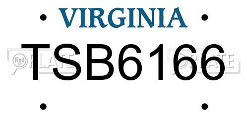 TSB6166 Virginia License Plate