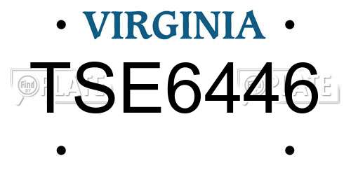 TSE6446 Virginia License Plate