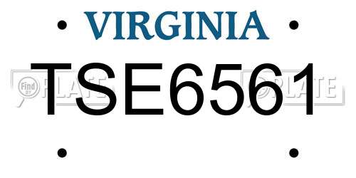 TSE6561 Virginia License Plate