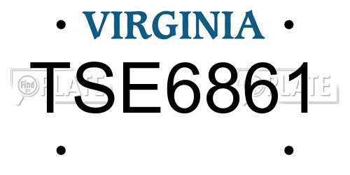 TSE6861 Virginia License Plate