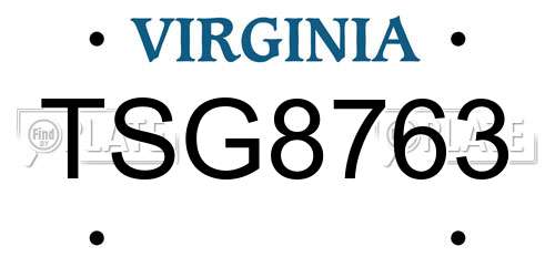 TSG8763 Virginia License Plate