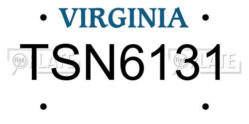 TSN6131 Virginia License Plate