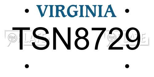 TSN8729 Virginia License Plate