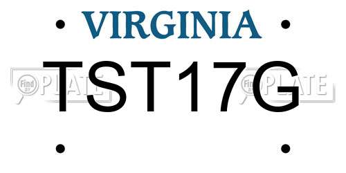 TST17G Virginia License Plate