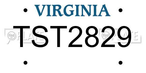 TST2829 Virginia License Plate