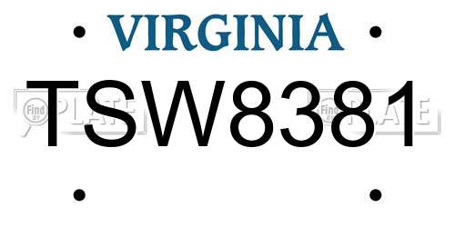 TSW8381 Virginia License Plate