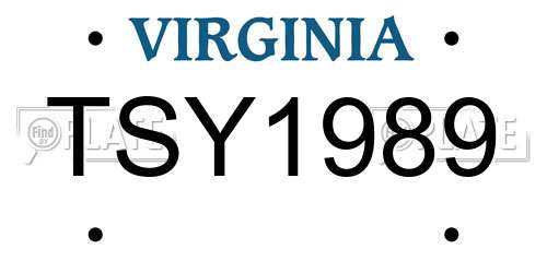 TSY1989 Virginia License Plate