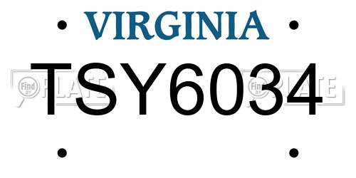 TSY6034 Virginia License Plate