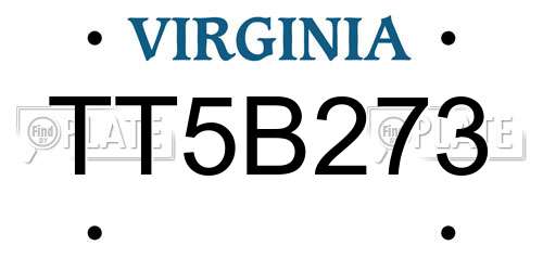 TT5B273 Virginia License Plate