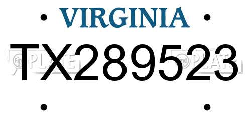 TX289523 Virginia License Plate