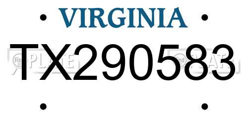 TX290583 Virginia License Plate