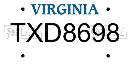 TXD8698 Virginia License Plate