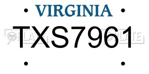 TXS7961 Virginia License Plate