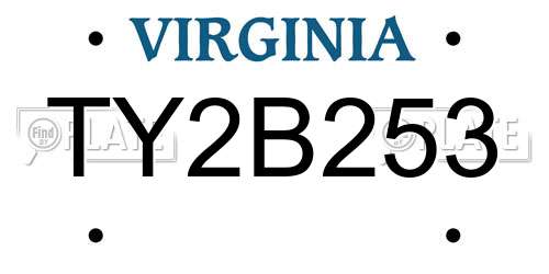 TY2B253 Virginia License Plate