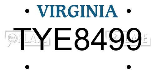 TYE8499 Virginia License Plate