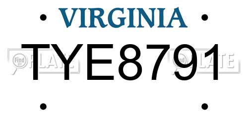 TYE8791 Virginia License Plate