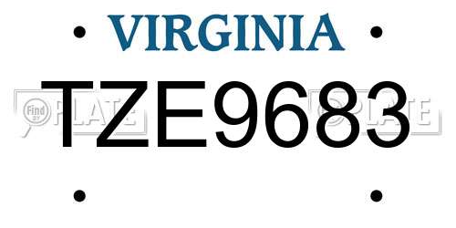 TZE9683 Virginia License Plate
