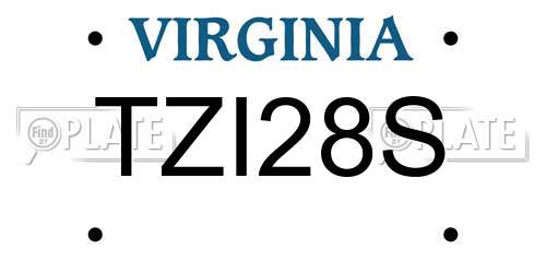 TZI28S Virginia License Plate