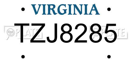 TZJ8285 Virginia License Plate