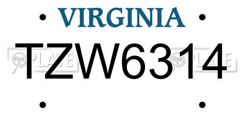 TZW6314 Virginia License Plate
