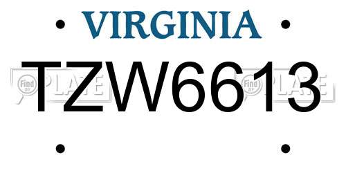 TZW6613 Virginia License Plate