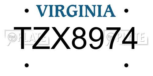 TZX8974 Virginia License Plate