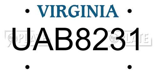UAB8231 Virginia License Plate