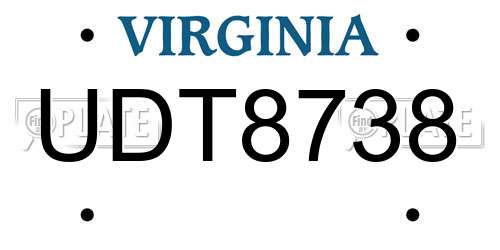 UDT8738 Virginia License Plate
