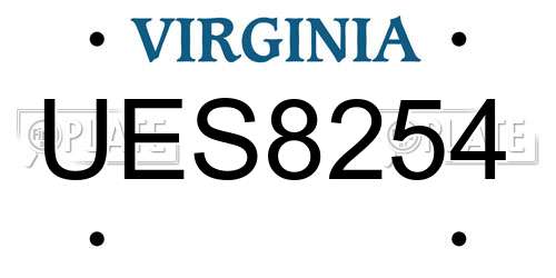 UES8254 Virginia License Plate
